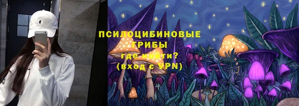 прущая мука Иннополис