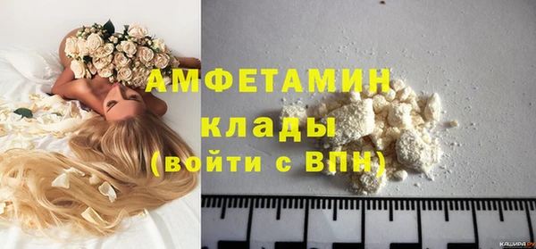 mdpv Инсар